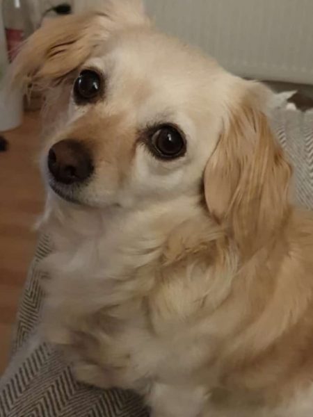 Lilly