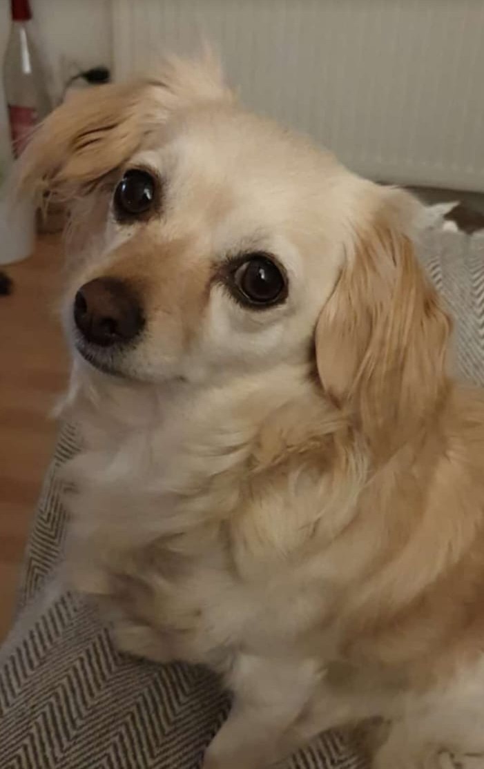 Lilly